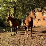 Auf Idyllischem Landsitz Mit Parkanlage Casa vacanze Negernboetel