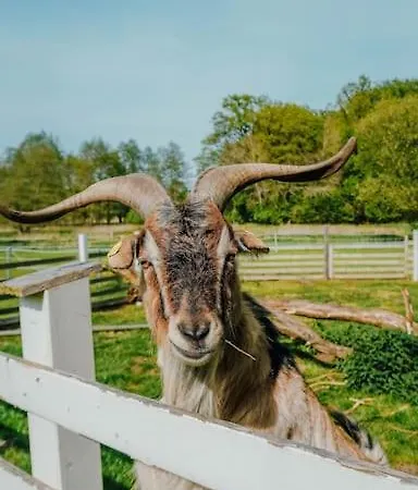 Auf Idyllischem Landsitz Mit Parkanlage * Negernboetel