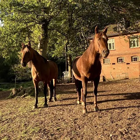 Auf Idyllischem Landsitz Mit Parkanlage Ferienhaus Negernboetel