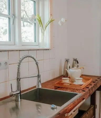 Auf Idyllischem Landsitz Mit Parkanlage