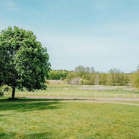 Auf Idyllischem Landsitz Mit Parkanlage