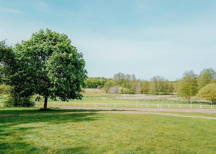 Auf Idyllischem Landsitz Mit Parkanlage